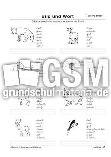 BuW Haustiere47.pdf